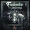 Frankenstein – Sklave der Wissenschaft